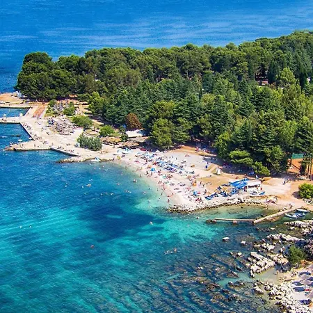 Luxury With A Swimming Pool Buici, - 13543 Porec